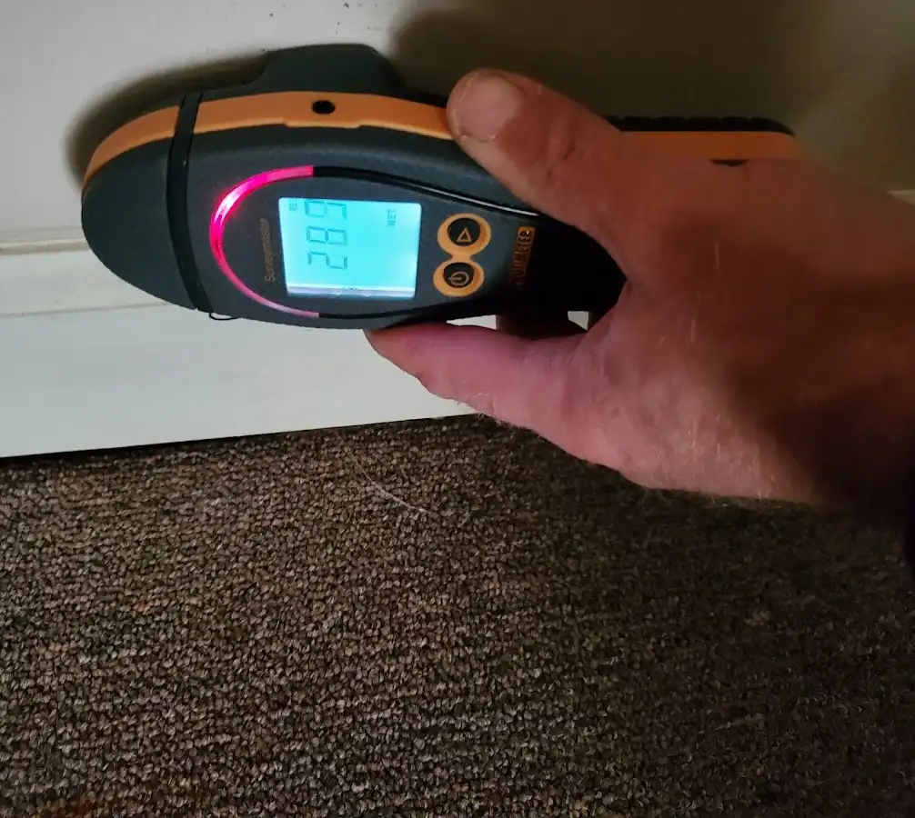 Moisture detection at baseboard during Mold Inspection & Testing in Deerfield